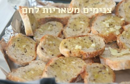 צנימים ביתיים