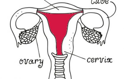 איך לשפר את רירית הרחם שלך ?